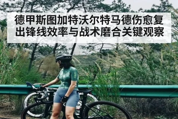 德甲斯图加特沃尔特马德伤愈复出锋线效率与战术磨合关键观察